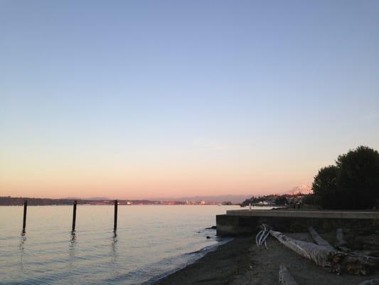 Mount rainier view!