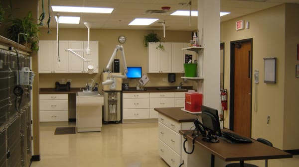 Treatment room, the 'hub' of the hospital