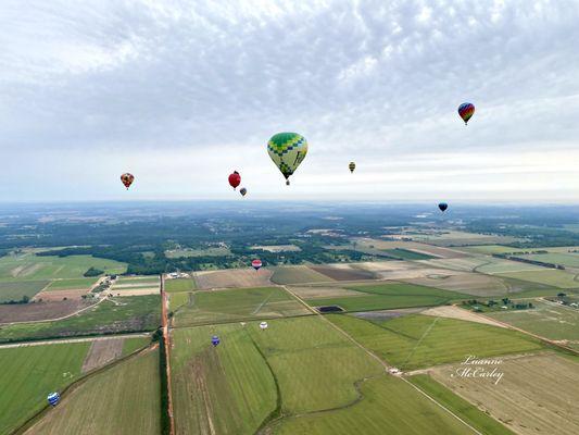 Gulf Coast Hot Air Balloon Festival, a South Baldwin Chamber of Commerce event.