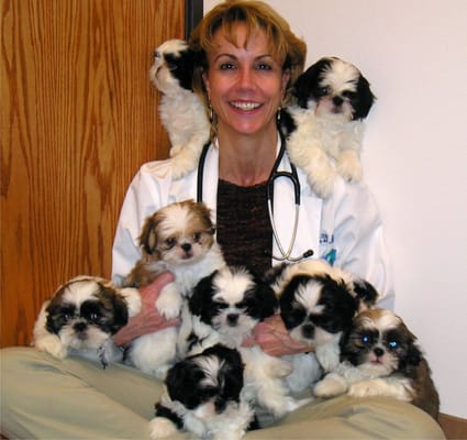 Dr. Bumpers is surrounded by puppy love.