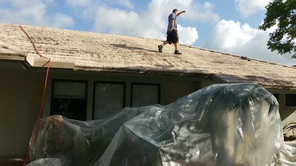 Residential Roof Cleaner