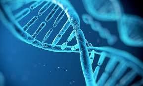 DNA Paternity Testing