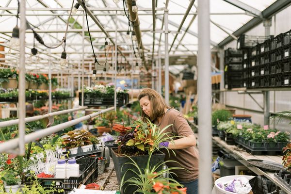 Designer working on a custom design container garden