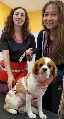 Ginger with Rachel and Nancy.