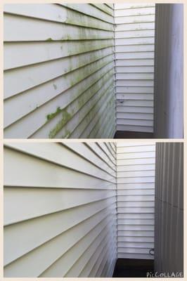 Before and After of Algae present on siding