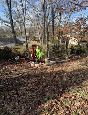 Our team splitting the wood of a maple tree