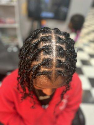 Starter Locs