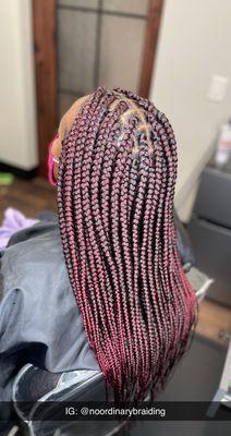 LARGE BOX BRAIDS