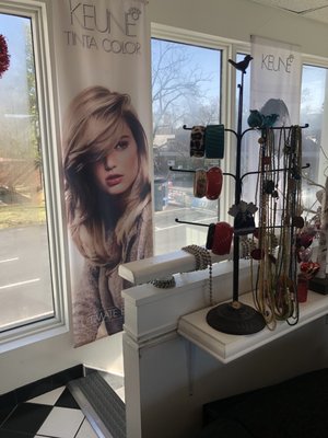 Salon pic