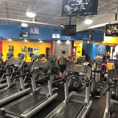 Spacious cardio area.