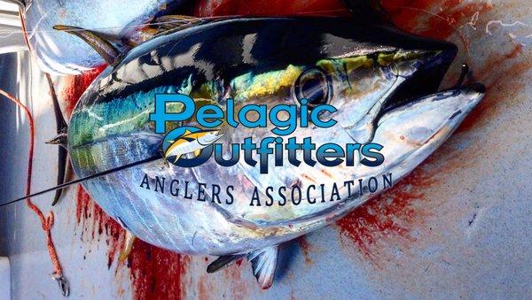 Pelagic Outfitters Inc