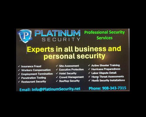 Platinum Security