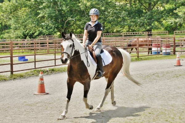 Spring Valley Equestrian Center