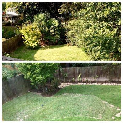 They removed the jungle and we've doubled our yard!