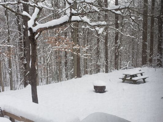 The Winter view from the picture window of the healing massage room.