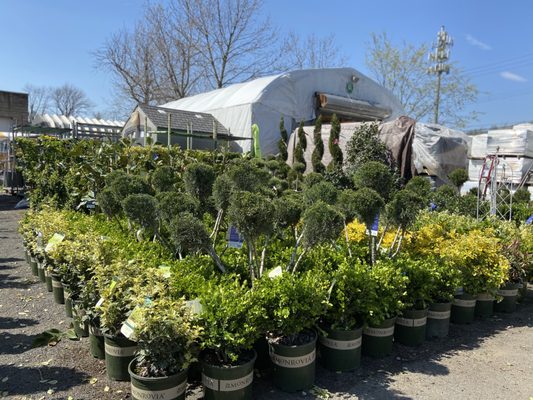 Sweetbrook Wholesale Nursery Garden Center