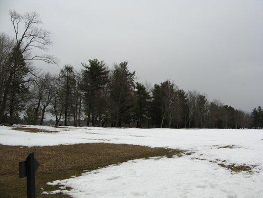 Topsmead in the snow