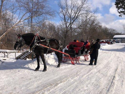 the second sleigh being pulled by Lucy