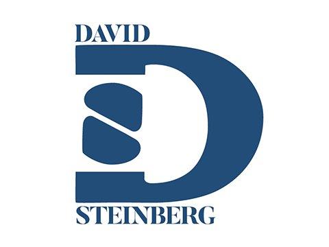 David I. Steinberg Law Group