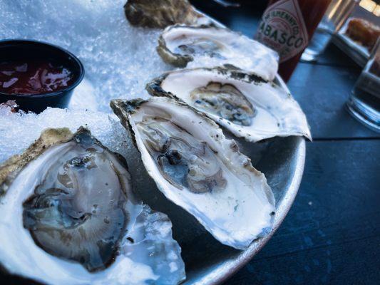 Excellent, fresh raw oysters!