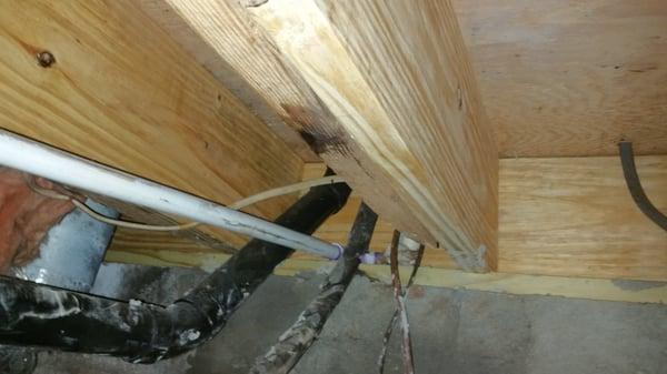 Your total home improvement in Angier done great had hole in the floor now it is a thigh fix