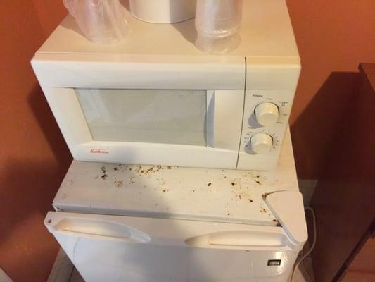 The microwave and fridge in my room. Gross