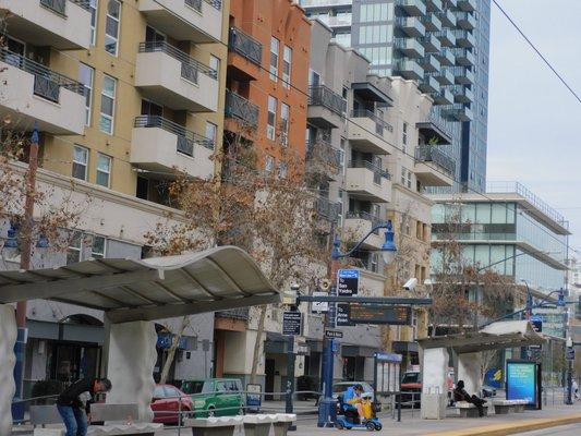 You do get the sense of being on the East Coast when you see the leaves change and the many buildings near by .