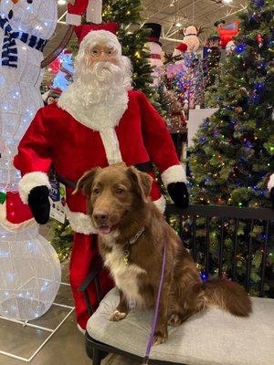 Me and my dog at home depot