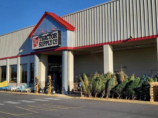 Tractor Supply