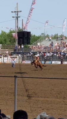 Molalla Buckeroo Rodeo