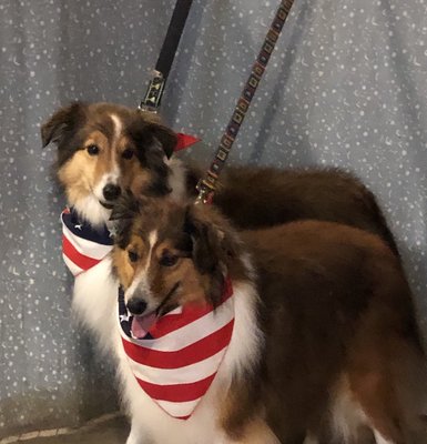 Cooper and Chloe are ready to celebrate Independence Day