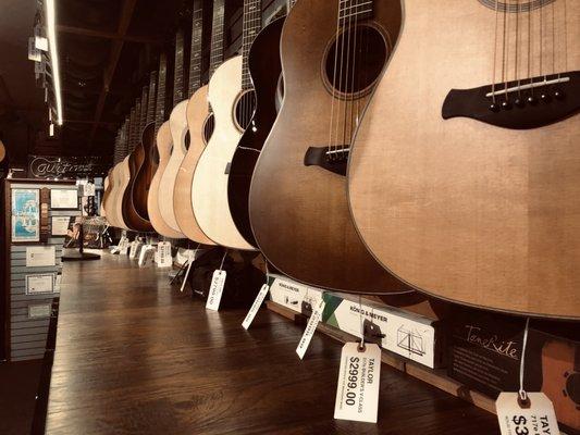 some of many Taylor guitars