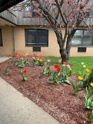 Our beautiful grounds where residents can walk around and enjoy the landscaping.