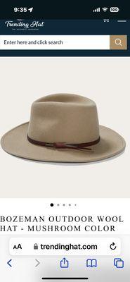 This is what they advertised a Stetson Bozeman.