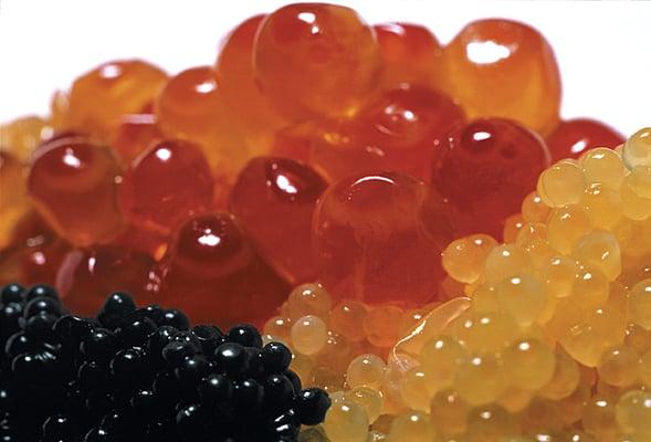 CAVIAR: Paddlefish, Hackleback, Sevruga, Oscetra, Salmon Roe, Lump Fish, Flying Fish Roe also Blinis and Presentoirs