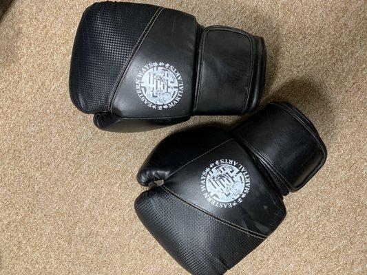 Gloves for Kickboxing