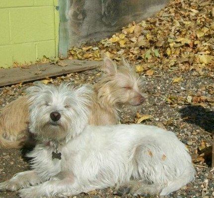 Lovin' a fall day in the outdoor yard at Grand!