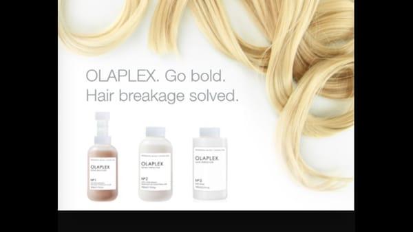 Olaplex bond strengthening service!!! Lots of breakage? Come see me:) 603-867-3335