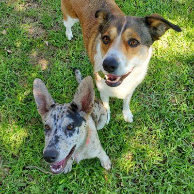 Pippa and Charlotte