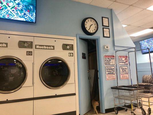 Super convenient large dryers and washers!