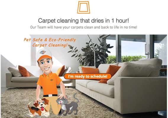 Carpet Cleaning that dries in 1 hour! Learn about out process: https://www.teameverclean.com/carpet-cleaning