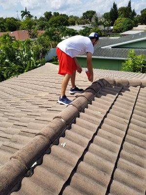 Accurate Roofing & Contracting