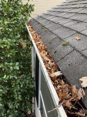 Acqua Gutter Cleaning