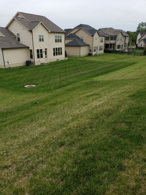 Grass cutting service and maintenance of bad