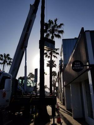 Look past the tall palm trees and tight spaces we have a 4ton package unit on it's way up