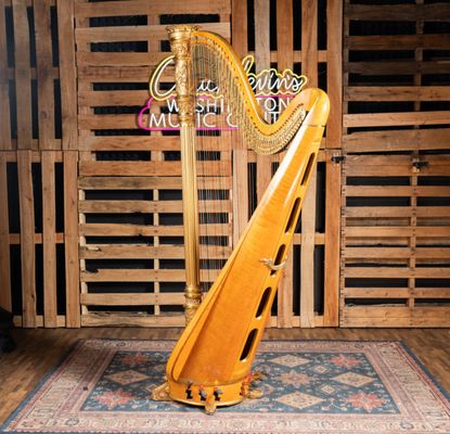 Harp for our special event definitely was the highlight of the party !