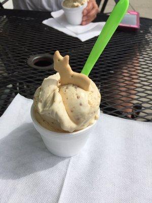 Cookie butter ice cream. So incredibly yummy