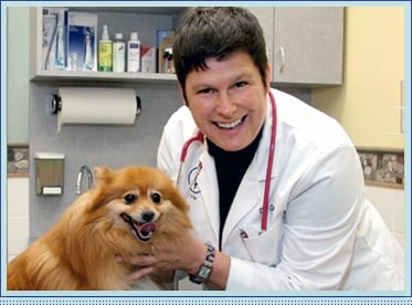 Dr. Patricia Collins is co-owner of Valley Cottage Animal Hospital and has cared for pets at the hospital since 1992.