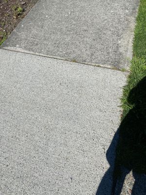 Freshly cleaned sidewalk on the bottom, my neighbors side on top. Night and day difference!