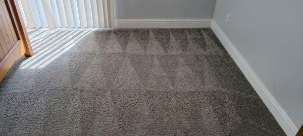 Commercial and Residential carpet cleaning